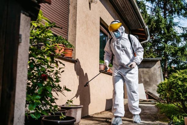 Best Insect Control  in La Vale, MD