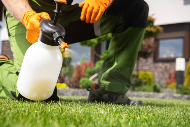 Pest Control Cost in La Vale, MD
