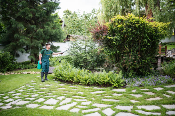Best Local Pest Control Services  in La Vale, MD