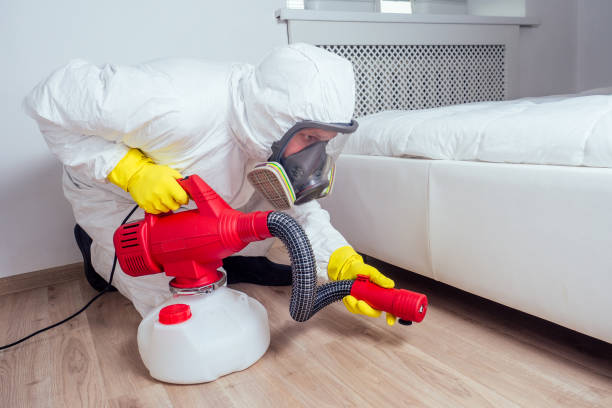 Best Pest Prevention Services  in La Vale, MD