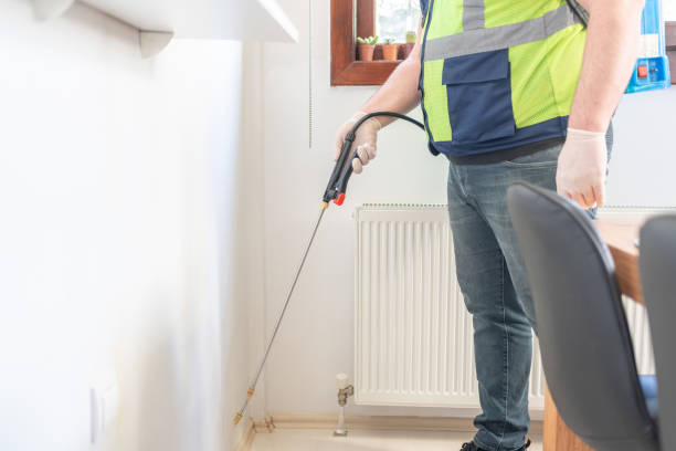 Best Flea Control Services  in La Vale, MD