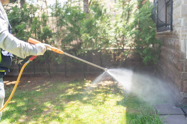 Best Affordable Pest Control Services  in La Vale, MD