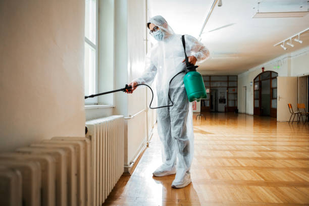 Best Best Pest Control Companies  in La Vale, MD