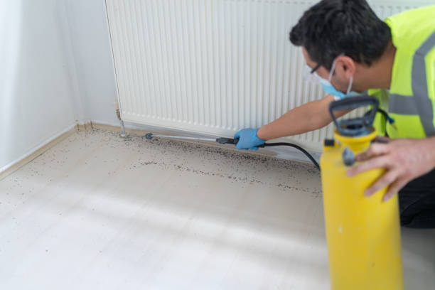 Best Mosquito Control Services  in La Vale, MD