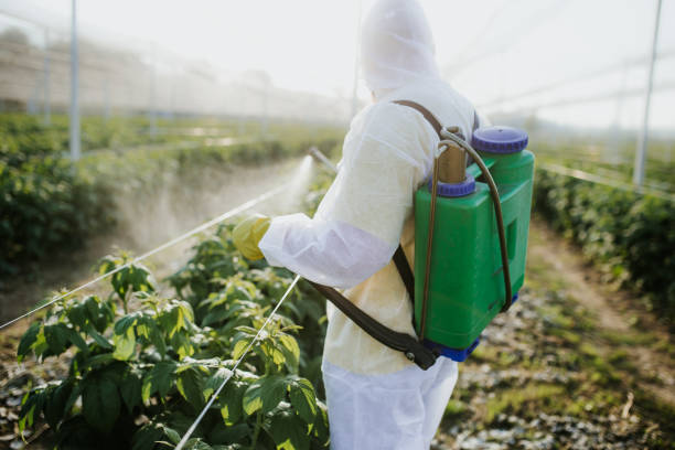 Best Cockroach Control Services  in La Vale, MD
